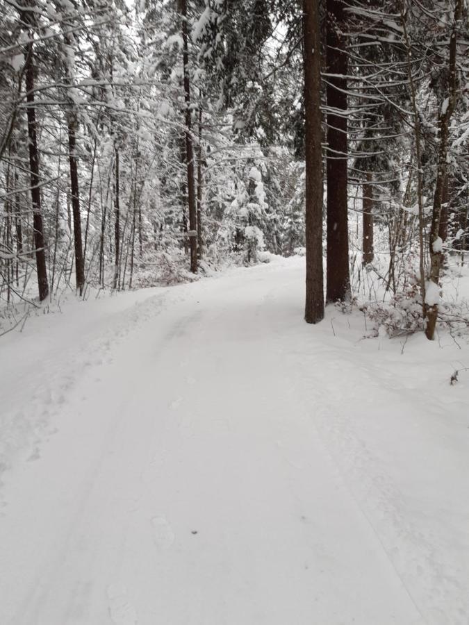 Ferienwohnung Am Wald Waidring Esterno foto