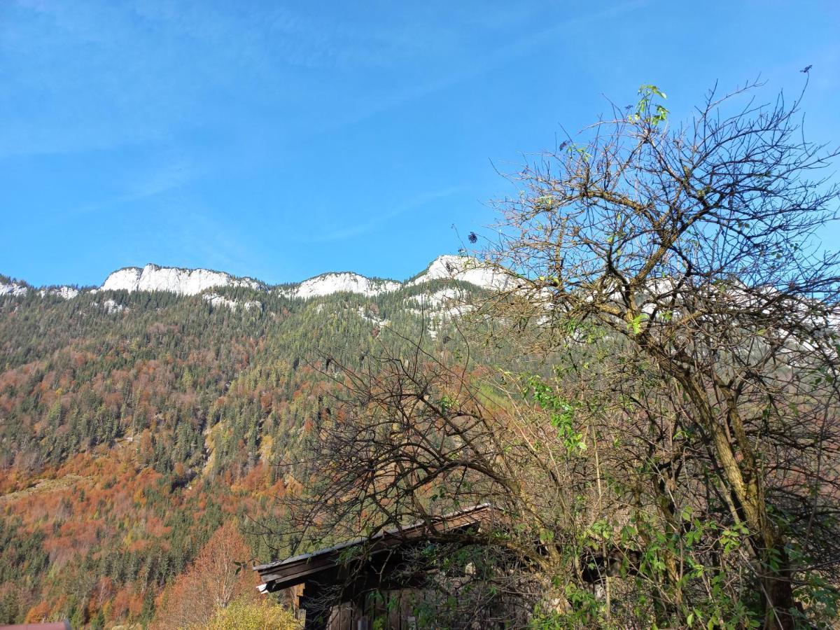 Ferienwohnung Am Wald Waidring Esterno foto